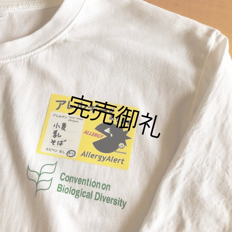 画像6: 【NEW】耐水アレルギー表示シール（2シート入） (6)