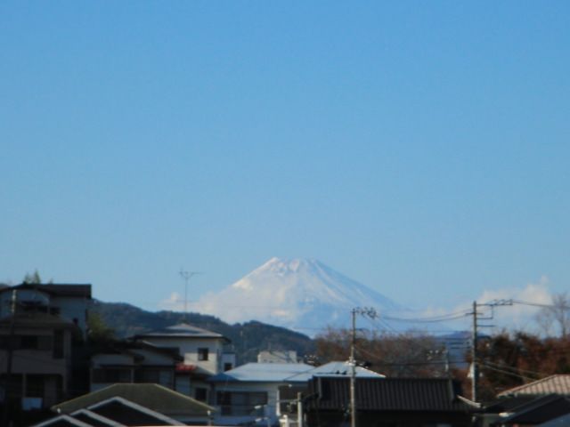 富士山が見えました！