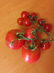 我が家のトマト